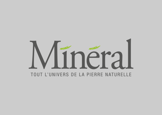 Logo Mineral